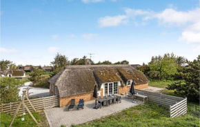 Lovely Home In Ringkøbing With Wifi